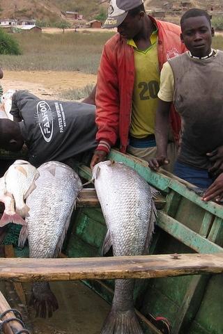 Men with Fish, Angola 