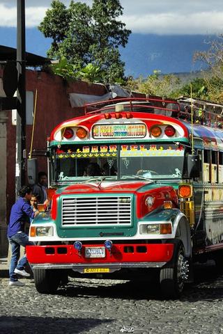 Local Bus, Antigua
