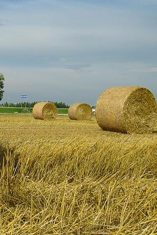 Hay Bales, Belarus
