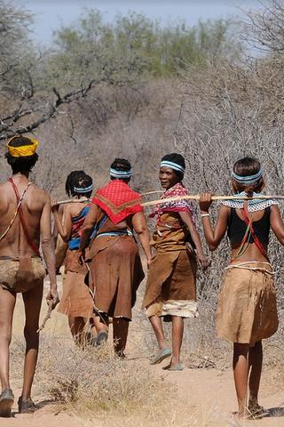 Bush People, Botswana Bush People, Botswana