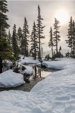 Winter, British Columbia, Canada