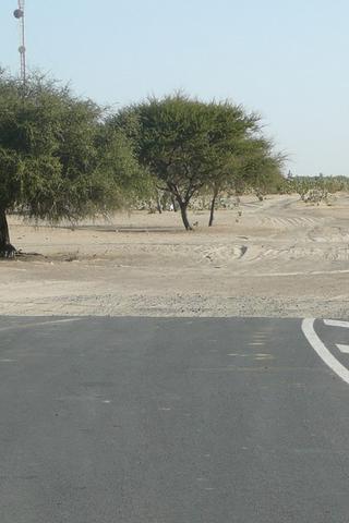 Road & Desert, Chad