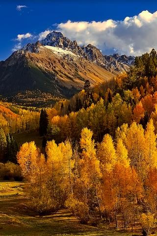 Autumn in Colorado