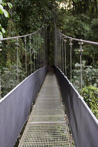 Rain Forest, Costa Rica