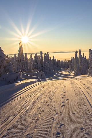 Skiing Trail, Finland