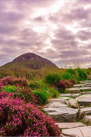 National Park, Ireland 