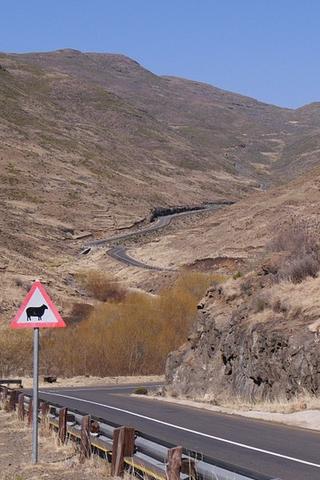 Sheep Sign on Mountain Road, Lesotho