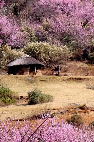 Round Hut, Lesotho